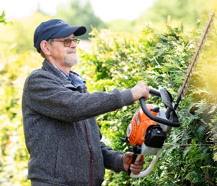 Ein älterer Mann in Sonnenbrille und Mütze benutzt eine orangefarbene Heckenschere, um eine Hecke im Garten bei sonnigem Wetter zu trimmen.